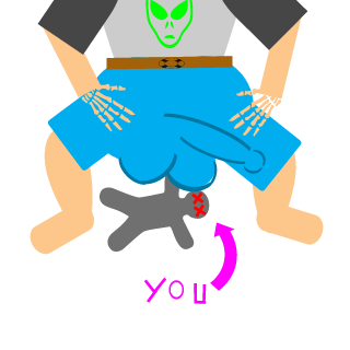 ninjaniks's emblem