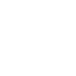 808_Lee_Swagger's emblem
