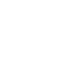 Xv Boyle vX's emblem