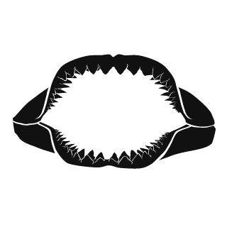 Seancout10's emblem