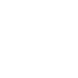 Nygi12's emblem