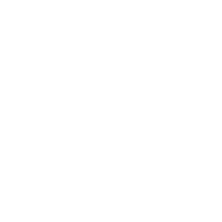 Bort768's emblem
