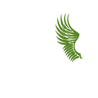 AZIZBHY's emblem