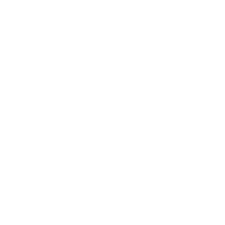 bandscheibenfall's emblem
