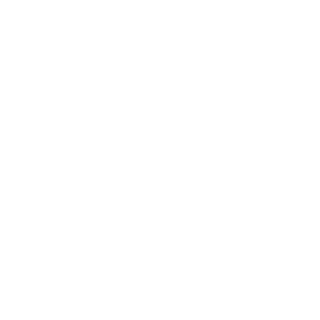 vincent7555's emblem