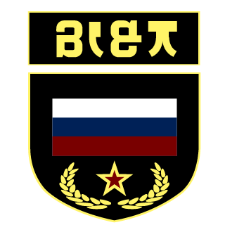 SoloFREEDOM13's emblem