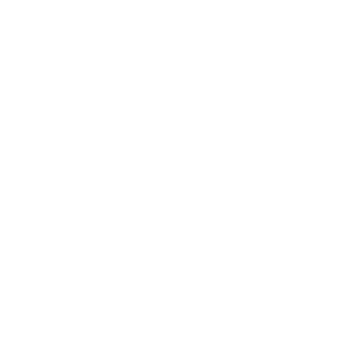Drifting_Punk's emblem