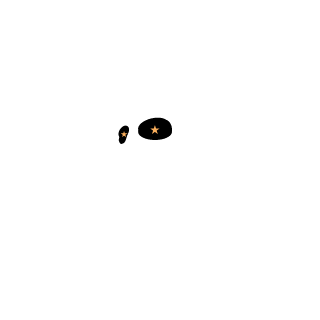 FutureHendrixvsv's emblem