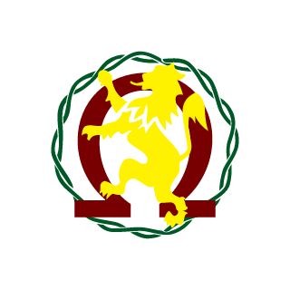 iCyber Crusader's emblem
