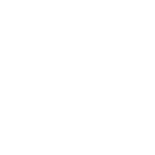 Vect19D's emblem