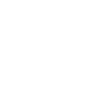 Streamkon's emblem