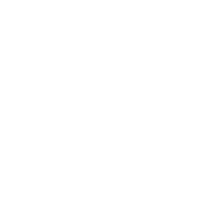 5he11_ShocK's emblem