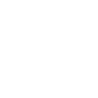 0aec3616e64e980a's emblem