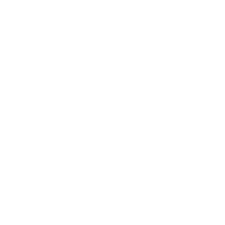 bojandro's emblem