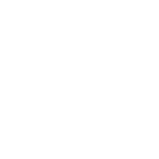 Nick_DEMA-ITA's emblem