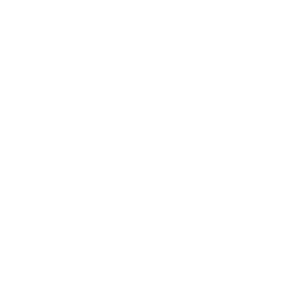 Shaman_RUS_78's emblem
