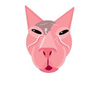 ktdcv1's emblem