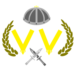 VirtualViking's emblem