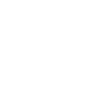 2412Simba2412's emblem