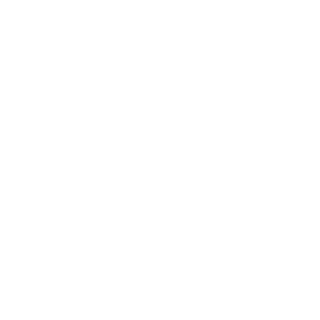2Neocraft2's emblem