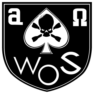 Captdevil666's emblem
