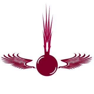 DrBird06's emblem