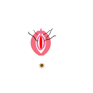 Sugarballsgaming's emblem
