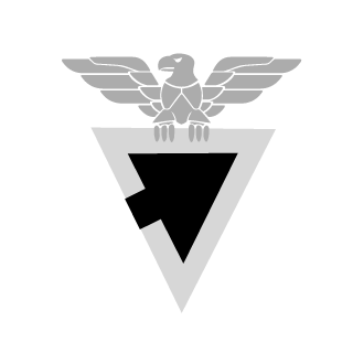 RAY308's emblem
