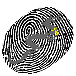 JackJack131313's emblem