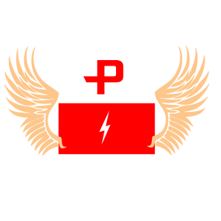 ElectDamianPL's emblem