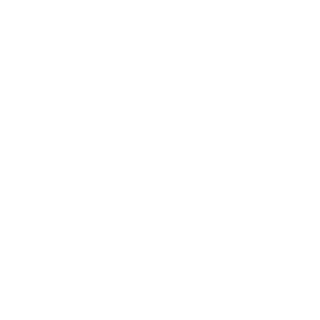 Melvis-2650's emblem
