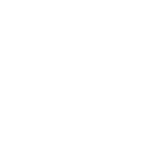 SDisableS's emblem