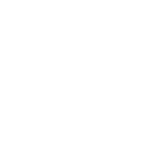 Rebel_023's emblem