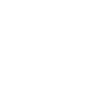 411U's emblem