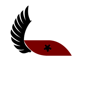 SuperMa6x's emblem