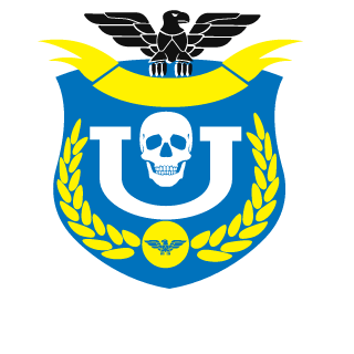 RagedAngel21's emblem