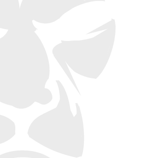 ZakMckrackin's emblem