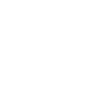 ZyonAytkyn's emblem