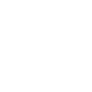 n93seo's emblem