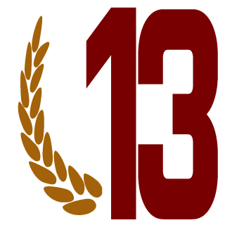 13terKriegerNRP's emblem