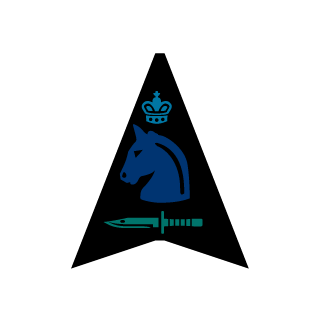 Flain20_883's emblem