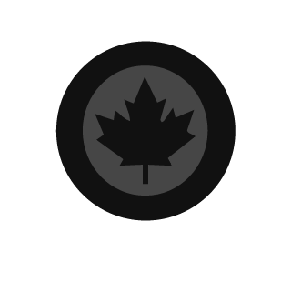 SeeK_BoT's emblem