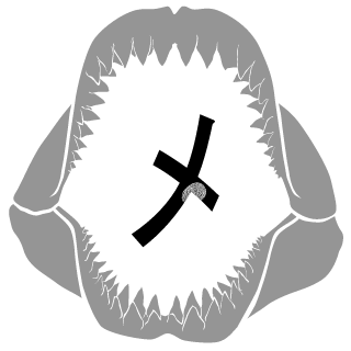 999KURA's emblem