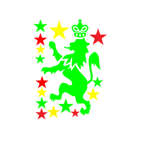 SD_Netinho's emblem