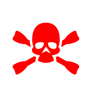 JhoniBRASILEIRIN's emblem