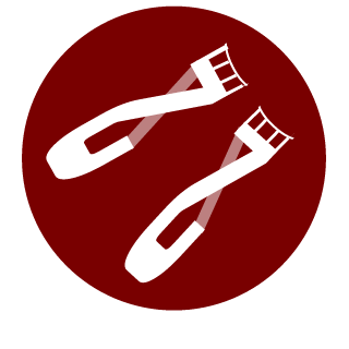 TheShaug's emblem