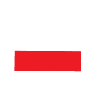 dyingzone's emblem