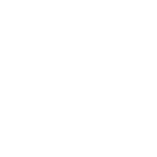 stas489's emblem