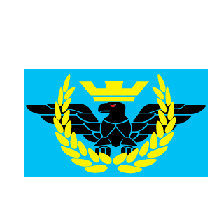 apavalter123's emblem