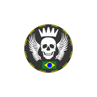 CapitaOamerica33's emblem